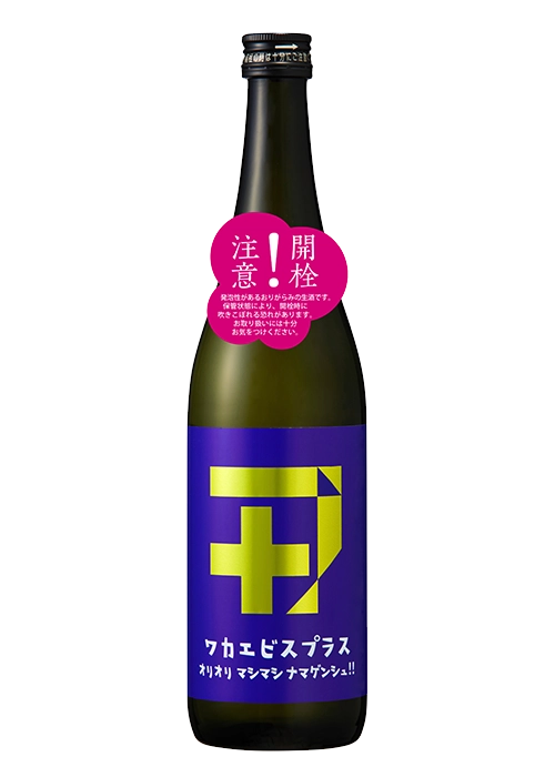 ワカエビスプラス［007］ガス